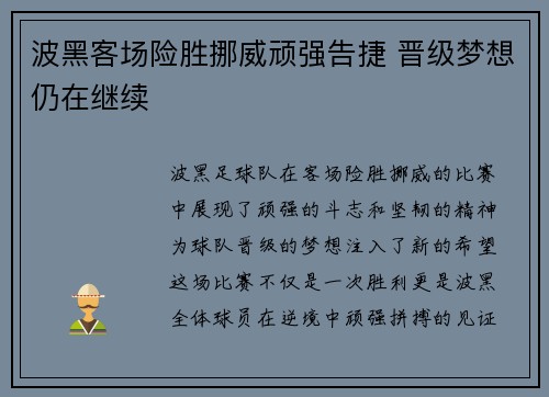 波黑客场险胜挪威顽强告捷 晋级梦想仍在继续