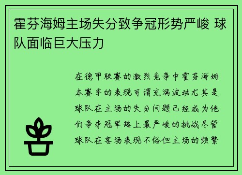 霍芬海姆主场失分致争冠形势严峻 球队面临巨大压力